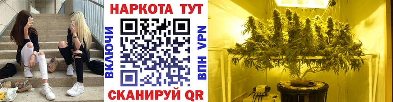 Купить наркоту Кировград Бошки Шишки  MDMA  ГАШИШ  Меф мяу мяу 