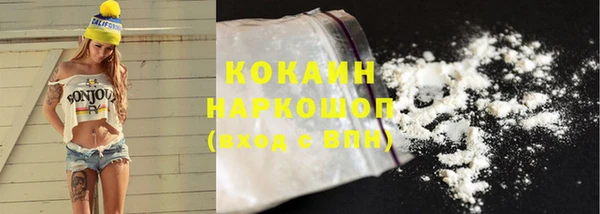 ГАЛЛЮЦИНОГЕННЫЕ ГРИБЫ Верея