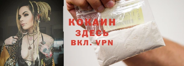 ECSTASY Бородино