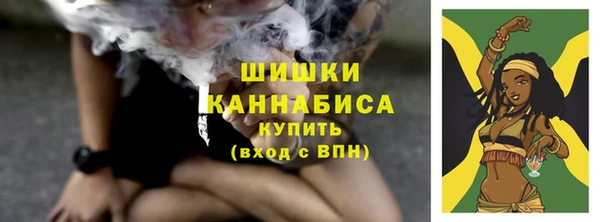ECSTASY Бородино