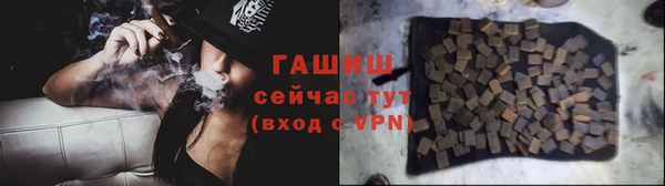 ECSTASY Бородино