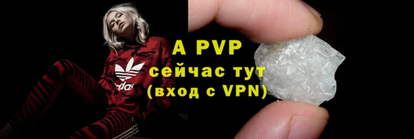 ECSTASY Бородино