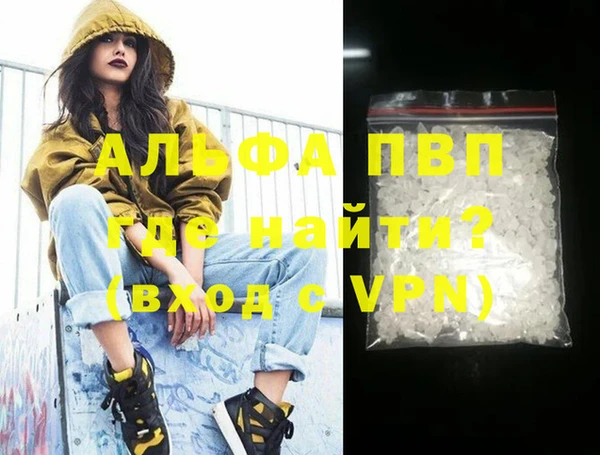 ECSTASY Бородино