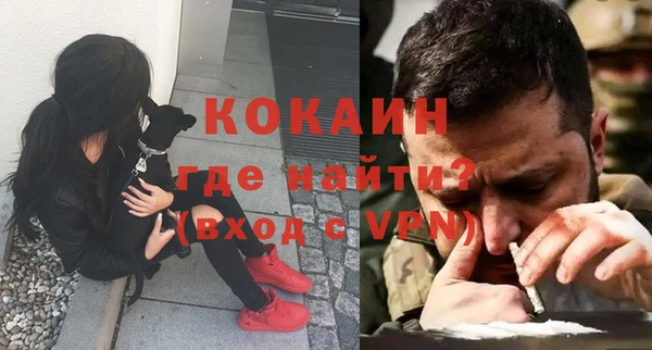 ECSTASY Бородино
