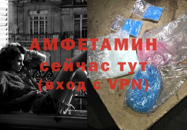 ECSTASY Бородино
