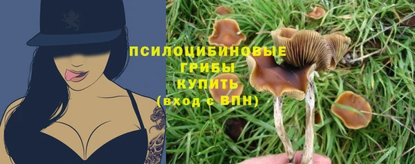 ECSTASY Бородино