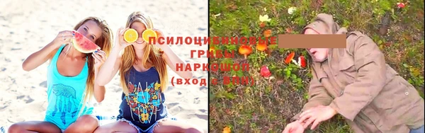 стаф Бронницы