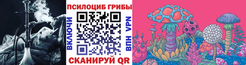 Псилоцибиновые грибы Psilocybe  наркошоп  Кировград 